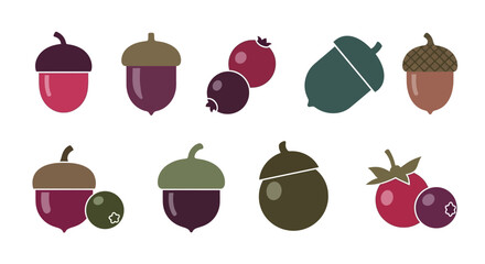 Acorns and Berries Illustration