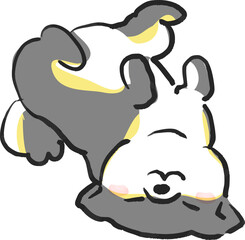 仰向けで寝転がる柴犬のイラスト　犬のイラスト