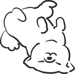 仰向けで寝転がる柴犬のイラスト　犬のイラスト
