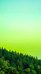 Fototapeta premium A surreal landscape featuring a vibrant green sky, fluffy white clouds drifting lazily, and tall, lush trees swaying gently in the breeze below.