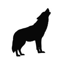 Vector illustration of wolf howling silhouette isolated on white background