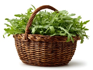 Naklejka premium Fresh green arugula leaves fill a woven wicker basket on a white surface in a studio shot image today.