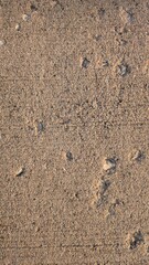 Concrete wall texture 
