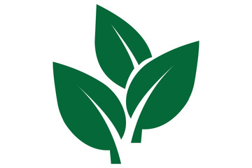 Leaf logo graphic design