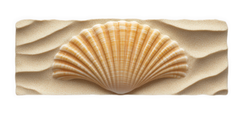 Seashell embedded in sand with wave pattern isolated on transparent background