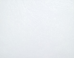 Fototapeta premium Plain white textured wall
