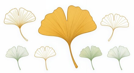 Fototapeta premium Colored Leaf icon