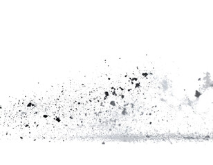 Fototapeta premium Floating dust particles isolated on white background