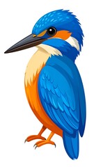 Obraz premium Colorful kingfisher illustration