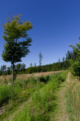 A path that leads through wild countryside. This path is intended only for pedestrians and managers of adjacent land.