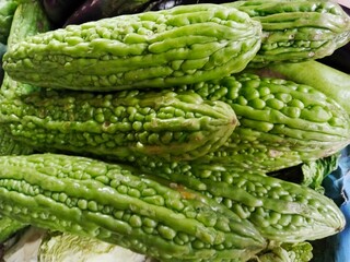 A group of green bitter melons (Momordica charantia) characterized by their uneven surface texture,...