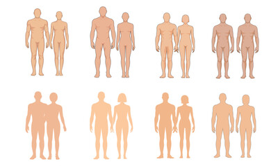 Male and female human body silhouette set in standing position