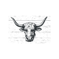 Detailed Black and White Sketch of a Longhorn Bull's Head on a Textured Surface