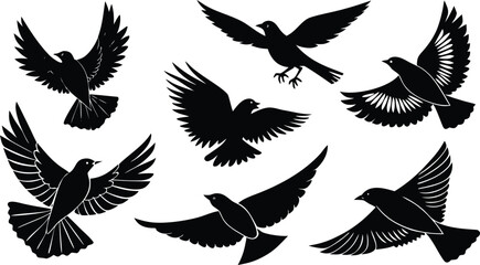 Silhouette Flying Birds Collection Vector Illustration of Bird Silhouettes on transparent background