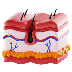 3D Render 3D Illustration, skin cross-section with hair follicle. Useful for medical anatomy visuals and dermatology education.