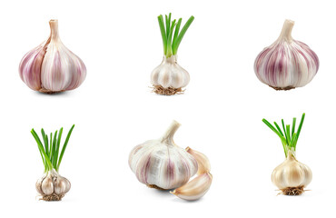 Collection of garlic with a strong, pungent aroma. full length isolate on transparent background