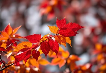 Crimson, gold, and russet leaves, sharply focused against a soft bokeh background,  nature,  blurred