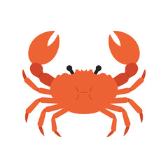 Orange crab illustration seafood marine life ocean creature crustacean isolated vector