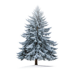 Fototapeta premium A solitary snow covered evergreen tree stands against a stark black background