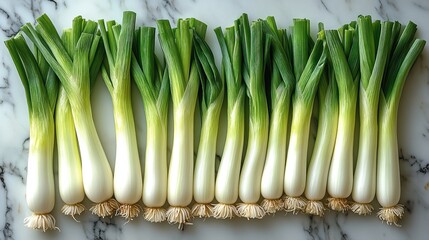 Fresh green scallions arranged in rows on a marble surface