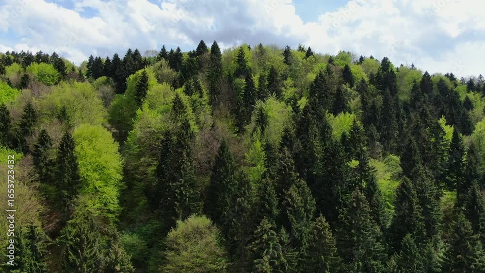 Aufkleber a view of a hillside forest under a cloudy sky the trees are mostly green with a mix of light and da