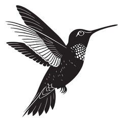 black hummingbird Silhouette Vector, High Quality Illustration on White Background
