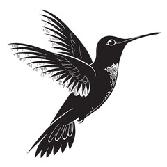 black hummingbird Silhouette Vector, High Quality Illustration on White Background