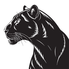 black jaguar Silhouette Vector, High Quality Illustration on White Background