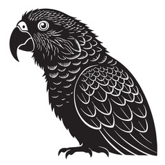 Fototapeta premium black parrot Silhouette Vector, High Quality Illustration on White Background