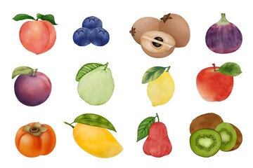 Various of fruits set on white background. Watercolor of peach, persimmon, blueberry, lemon, guava, fig, kiwi, apple, mango, plum, water apple, sapodilla. Hand drawn of fruits