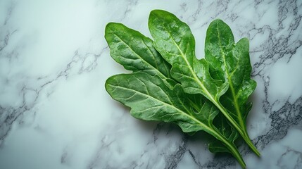 Fresh, vibrant green leaves on a marble surface