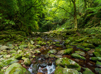 赤目四十八滝　散策路
