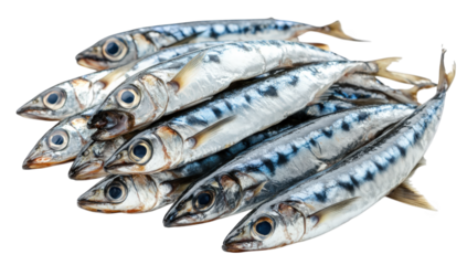 A pile of fresh small fish, likely sardines or anchovies, isolated on transparent background