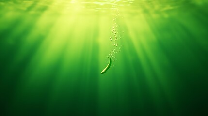 Small fish swims upwards towards bright sunbeams underwater
