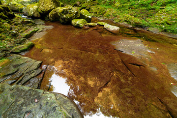 赤目四十八滝　散策路