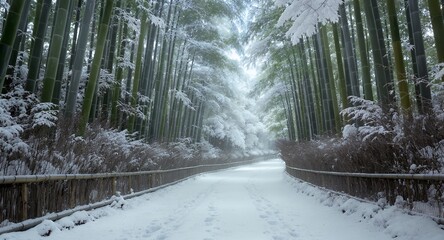 Snow-Covered Bamboo Forest Path Serene Winter Wonderland Scene