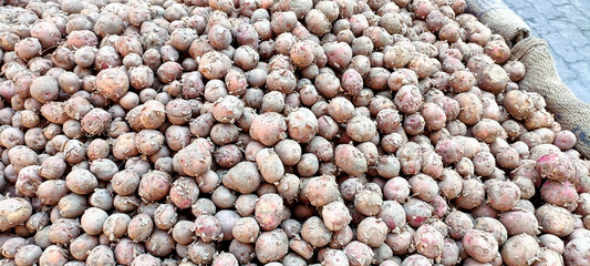 Heap of Freshly Harvested Dusty Potatoes from Indian Market