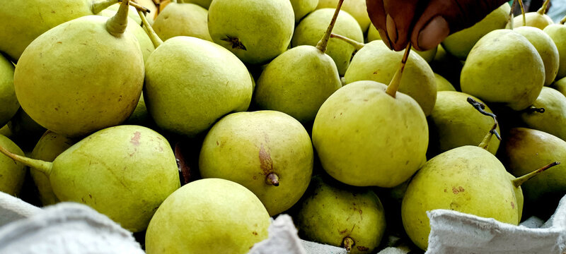 Fresh Green Pears Piled at Local Fruit Market &ndash; Natural Harvest Display
