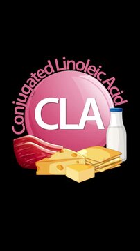 Conjugated Linoleic Acid Sources: Meat, Cheese, and Milk Animation