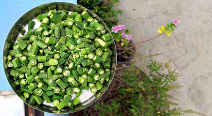 Chopped Fresh Okra in Steel plate