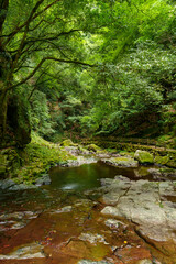 赤目四十八滝　散策路