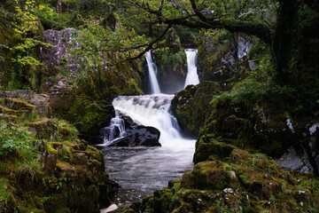 Waterfall cascading through moss covered rocks and woodland greenery into a calm pool