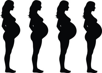 Silhouette illustration of pregnant woman showing different pregnancy stages for maternity, prenatal health, motherhood, and educational vector design purposes