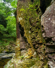 赤目四十八滝　散策路