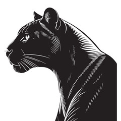 black leopard Silhouette Vector, High Quality Illustration on White Background