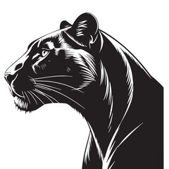 black leopard Silhouette Vector, High Quality Illustration on White Background