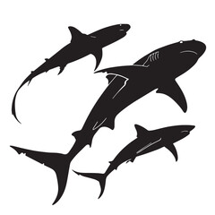 black leviathans Silhouette Vector, High Quality Illustration on White Background