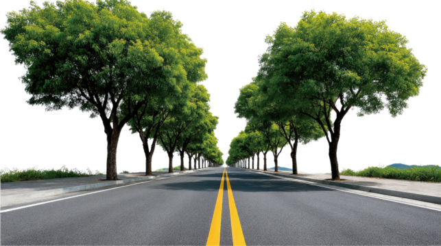 Road to Green Canopy: An asphalt road stretches endlessly through a verdant tunnel of trees, inviting viewers on a journey of nature and exploration. The overhead canopy creates a sense of serenity.