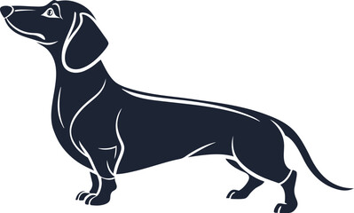 Hand-Drawn Border Collie Vector Illustration – Black and White Dog Art Design