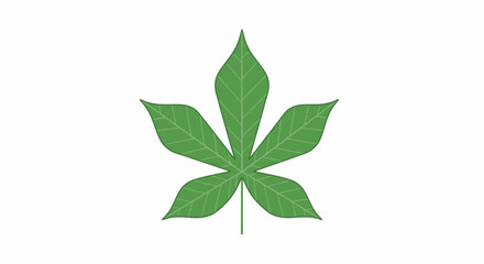 Fototapeta premium Isolated Green Leaf Illustration with Five Lobes for Botanical Studies, Educational Resources, and Graphic Design Projects. Ideal for nature-themed designs.